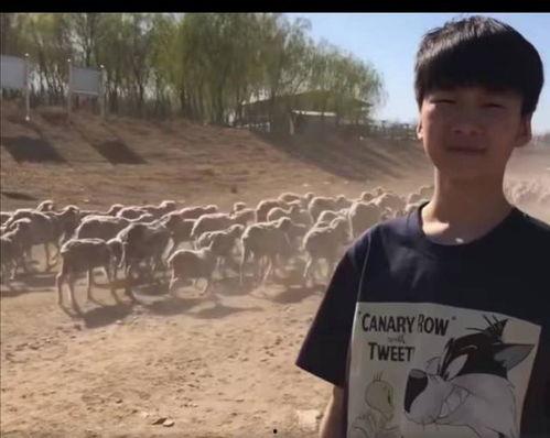 张亮儿子爆料视频大全  第3张